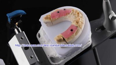 Standard Dental Lab Co., Limited dây chuyền sản xuất của nhà sản xuất