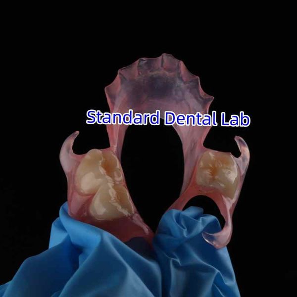 Standard Dental Lab Co., Limited dây chuyền sản xuất của nhà sản xuất