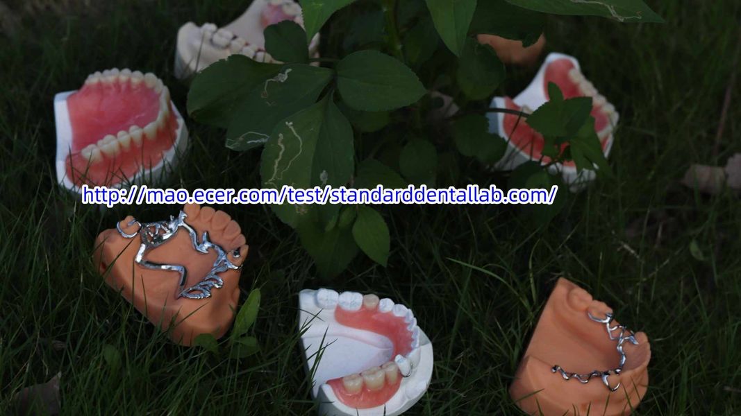 Standard Dental Lab Co., Limited dây chuyền sản xuất của nhà sản xuất