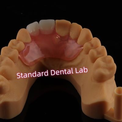 Mua Valplast nha khoa Flexible Flipper Dentures Dentures có thể tháo rời sản xuất trực tuyến