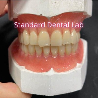 Mua Toàn bộ trên và dưới Standplate Acrylic răng giả một phần Ivoclar răng màu hồng sản xuất trực tuyến