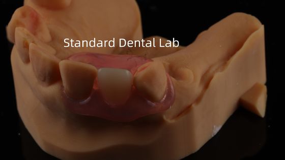 Mua Răng TCS Valplast Dental Valplast linh hoạt phần răng giả Nesbit Valplast Finish Trung Quốc Phòng thí nghiệm nha khoa Valplast Clamp sản xuất trực tuyến