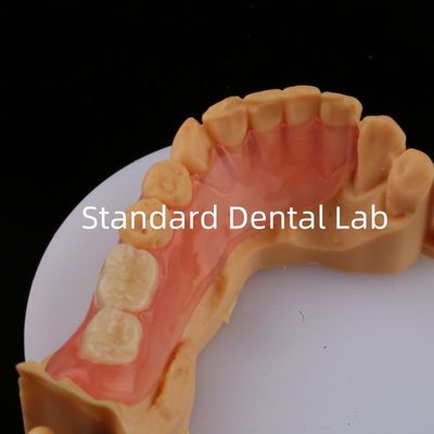 Mua Ace Teeth Pink/Dark TCS Valplast Flexible Partial Dentures for High Aesthetics Dental 3D Print Model sản xuất trực tuyến