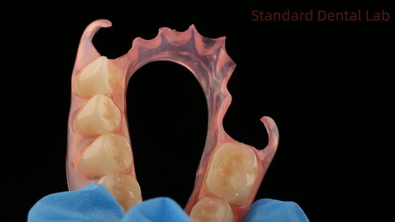 Mua Nha khoa TCS Valplast Flexible Partial Dentures Phòng thí nghiệm nha khoa Mô hình in 3D Esthetics cao sản xuất trực tuyến