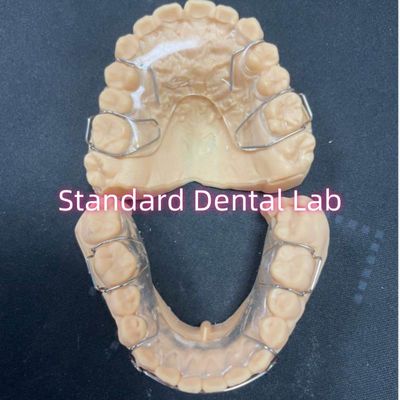 Professional Orthodontic Retainer Acrylic Dental Hawley Retainer Adam Clamp