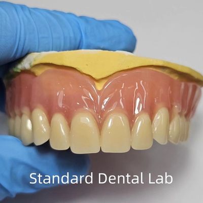 Tiêu chuẩn Ivoclar Complete Acrylic Răng giả chuyên nghiệp được FDA chứng nhận