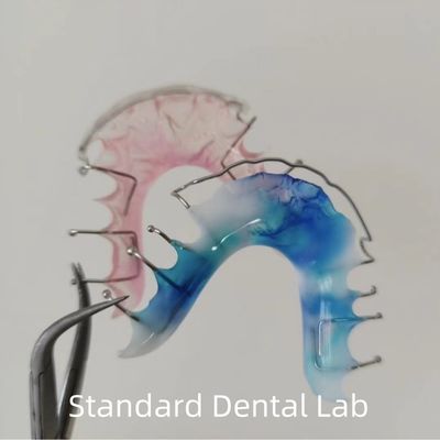 Hawley bọc xung quanh răng giả giữ răng miệng Acrylic