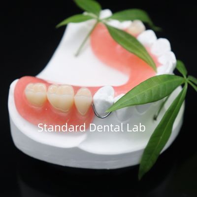 Cao thẩm mỹ Dentsply Lucitone 199 Acrylic Denture nhựa acrylic cho răng giả Trung Quốc phòng thí nghiệm nha khoa