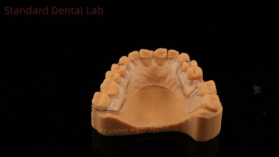 Hoàn hảo phù hợp Đức răng chỉnh hình Halley giữ cho thẩm mỹ và điều chỉnh bóng rõ SDL phòng thí nghiệm nha khoa