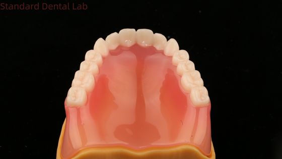 Răng hoàn chỉnh Ivoclar Răng hoàn chỉnh Acrylic răng SDL phòng thí nghiệm nha khoa