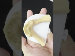 Kim loại hợp kim Cobalt Chrome răng giả Ivoclar Scheftner Framewrok kim loại thoải mái