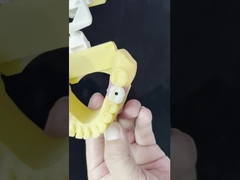 Bồ sứ tất cả trên bốn Zirconia cầu thẩm mỹ cao răng cấy ghép cầu vít giữ